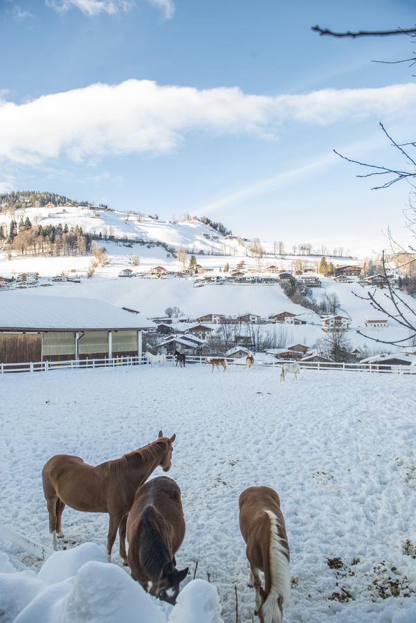 Hotel & Alpin Lodge Der Wastlhof นีเดอเรา ภายนอก รูปภาพ